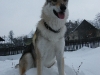 dscf8502