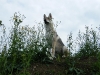 dscf5281