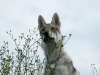 dscf5284