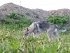 dscf4823_resize