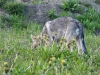 dscf4824_resize