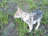 dscf4825_resize