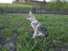dscf4827_resize
