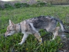 dscf4828_resize