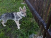 dscf4829_resize