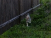 dscf4830_resize