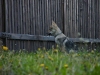 dscf4831_resize