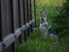 dscf4832_resize