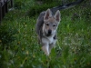 dscf4833_resize