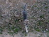 dscf4834_resize
