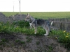 dscf4835_resize