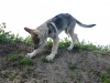 dscf4837_resize