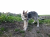 dscf4838_resize