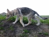 dscf4839_resize