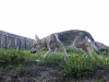 dscf4840_resize