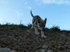 dscf4842_resize