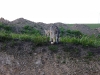 dscf4843_resize