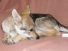 dscf4865_resize