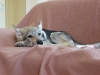 dscf4866_resize
