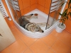 dscf5111_resize