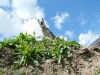 dscf5138_resize