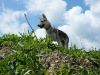 dscf5147_resize