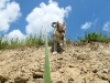 dscf5154_resize