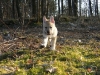dscf4510_resize