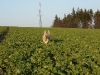 dscf4529_resize