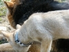 dscf4538_resize