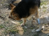dscf4539_resize