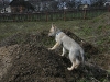 dscf4577_resize