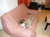 dscf7295_resize
