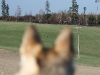 img_5720_resize