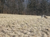 dscf9050