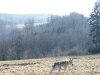 dscf9051