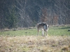 dscf9054