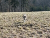 dscf9057