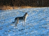 dscf8077