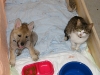 dscf4369_resize