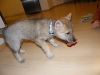 dscf4378_resize